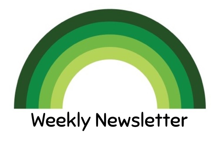 Image of Wk1 Newsletter